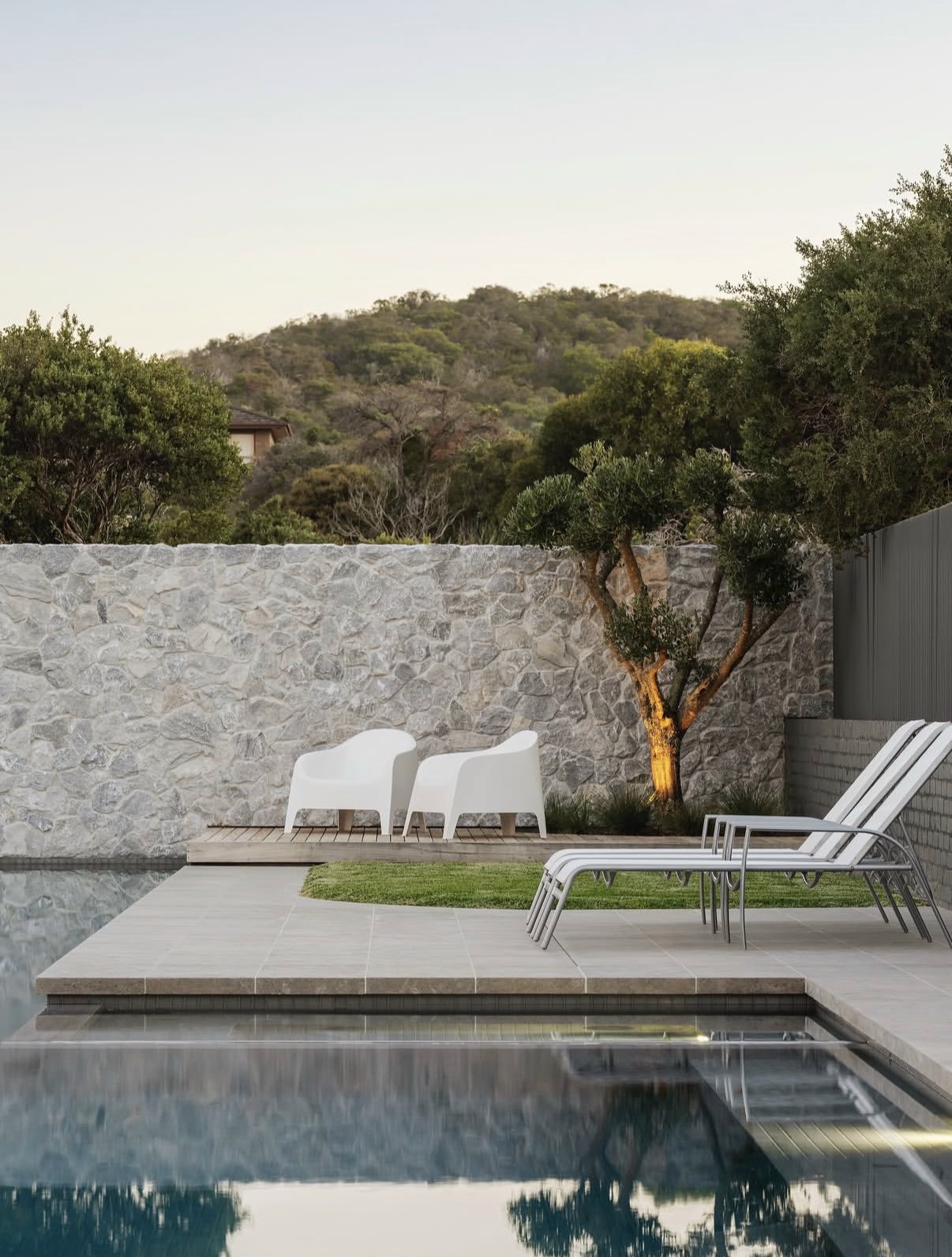 Mature cloud-pruned olive tree with uplighting beside a pool in a contemporary landscaped garden
